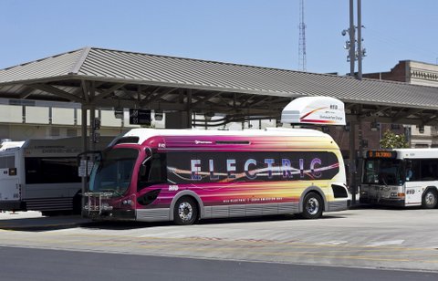 Bus with pink and yellow coloring and the word ELECTRIC across the side, parked among white-colored buses.