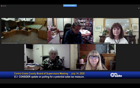 Screenshot of virtual government meeting