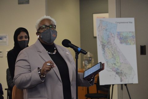 Redistricting Monitors Say Their Efforts Helped Protect the Black Vote