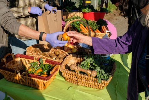 Closeup of two hands holding a tangerine over baskets of produce