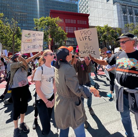 In crowd, one person has sign that says "pro life = pro choice." Other has sign with drawings of avocado, cooked egg and fertilized human egg that says "not a tree, not a chicken, not a person"