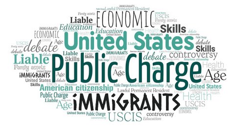 Word cloud. The most prominent words and phrases are economic, United States, public charge and immigrants.