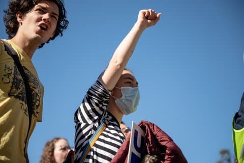 A person wearing a surgical mask raises their fist in protest.