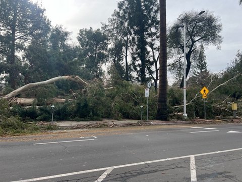 Damaging Storms and Power Outages: California Prepares for More Severe Weather