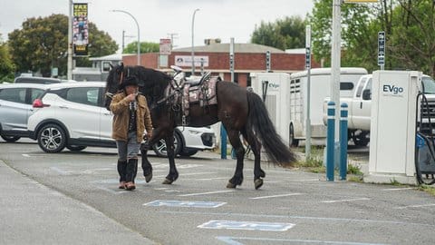 A man wearing a black cowboy hot and smoking a cigarette next to a horse standing in a lot near parked vehicles and electric vehicle charging stations.