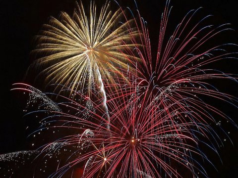 fireworks bursting against a night sky