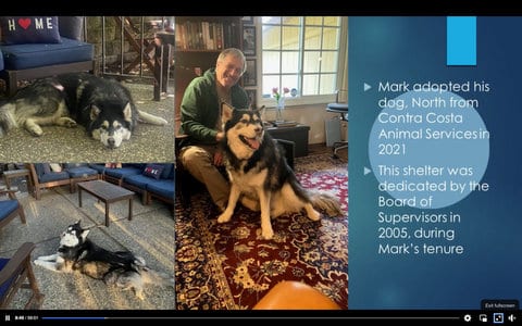 Three photos of a husky, including one with his owner, Rep. Mark DeSaulnier. Text that reads Mark adopted his dog, North, from Contra Costa Animal Services in 2021. This shelter was dedicated by the Board of Supervisors in 2005 during Mark's tenure.