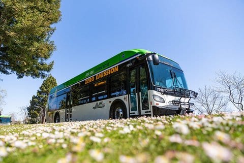 Looking up over a field of flowers toward an AC Transit bus that says zero emission on it